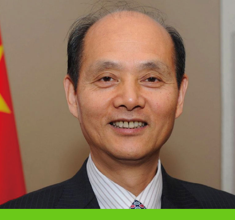 罗林泉